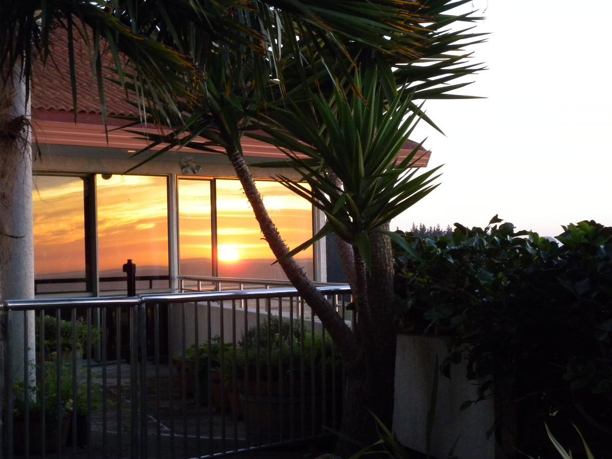 Sol Y Mar B&B Tangoio Dış mekan fotoğraf